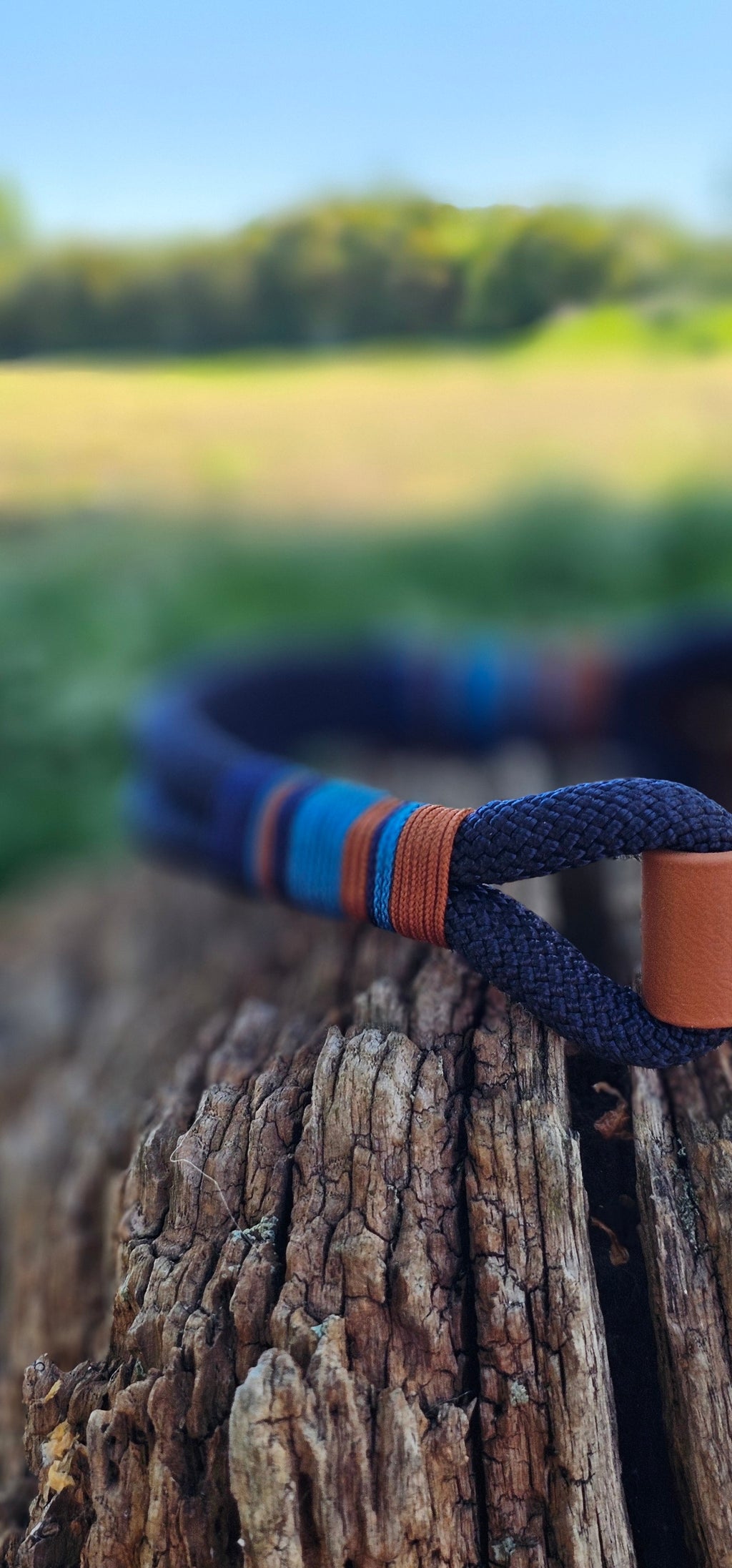 Windsor - Premium Rope Dog Collar
