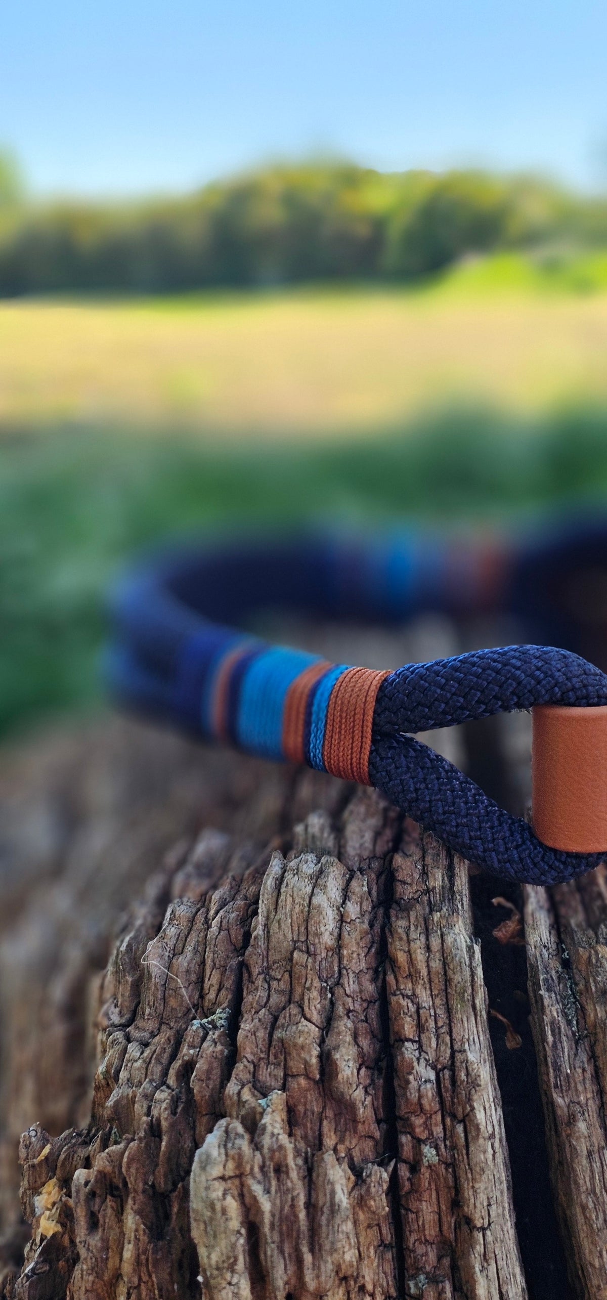 Windsor - Premium Rope Dog Collar