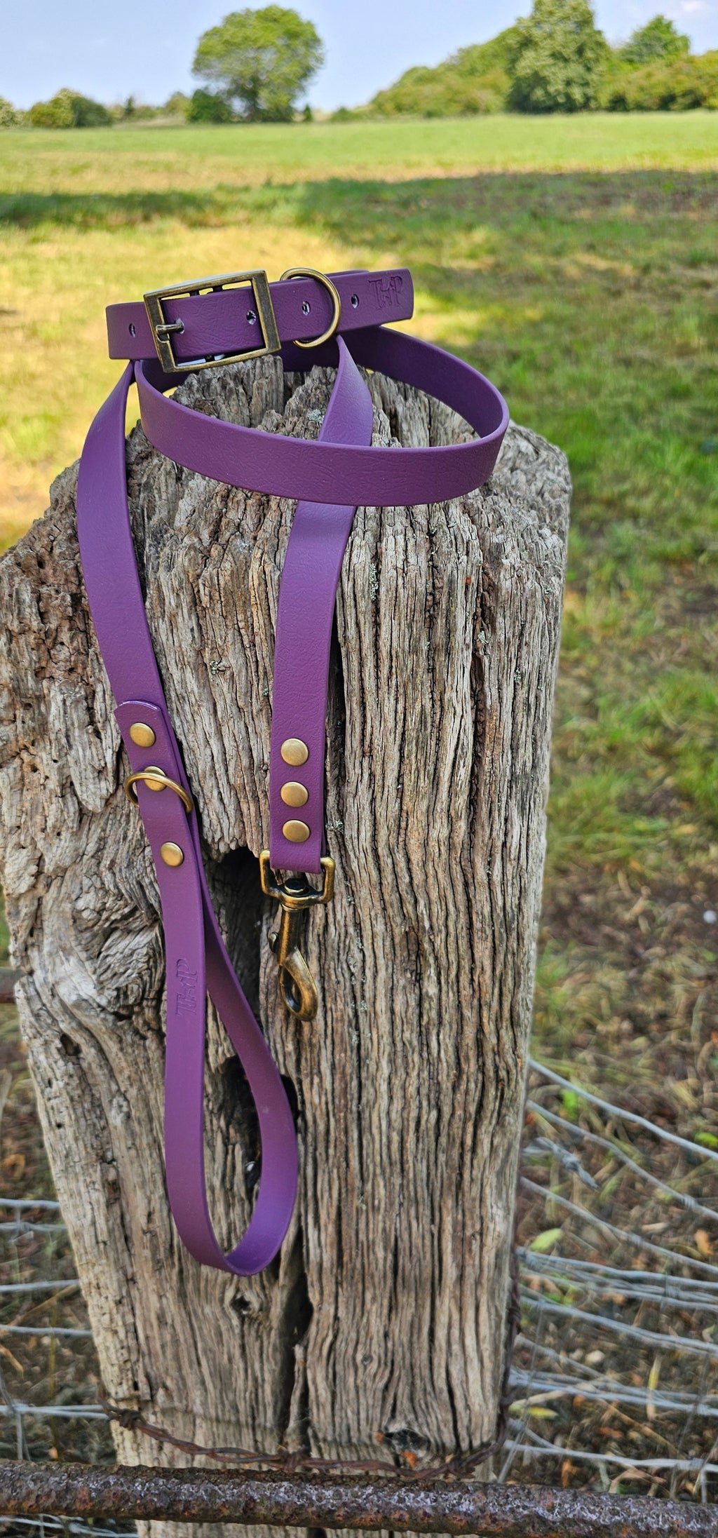 Aubergine - Waterproof BioThane© Dog Collar