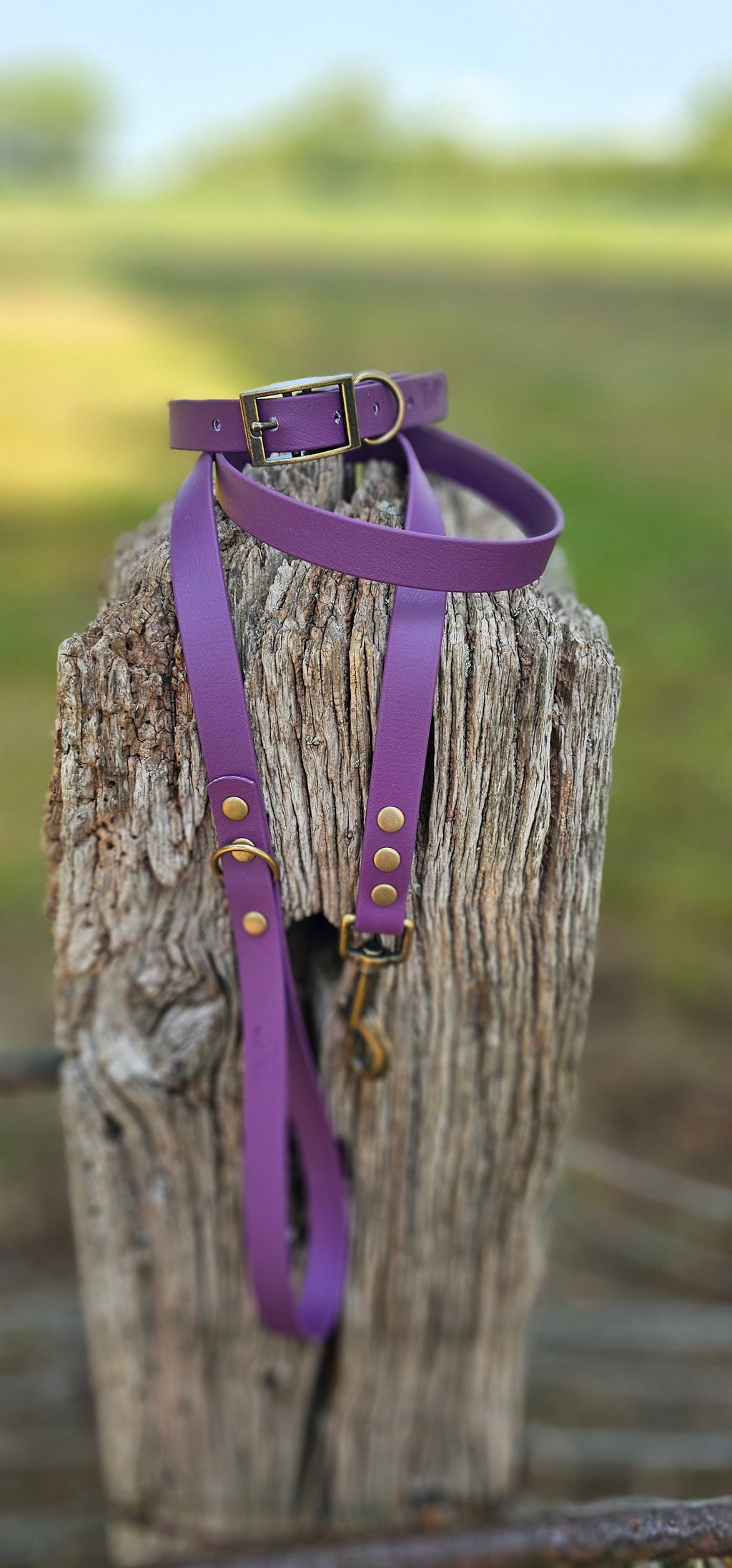 Aubergine - Waterproof BioThane© Dog Collar