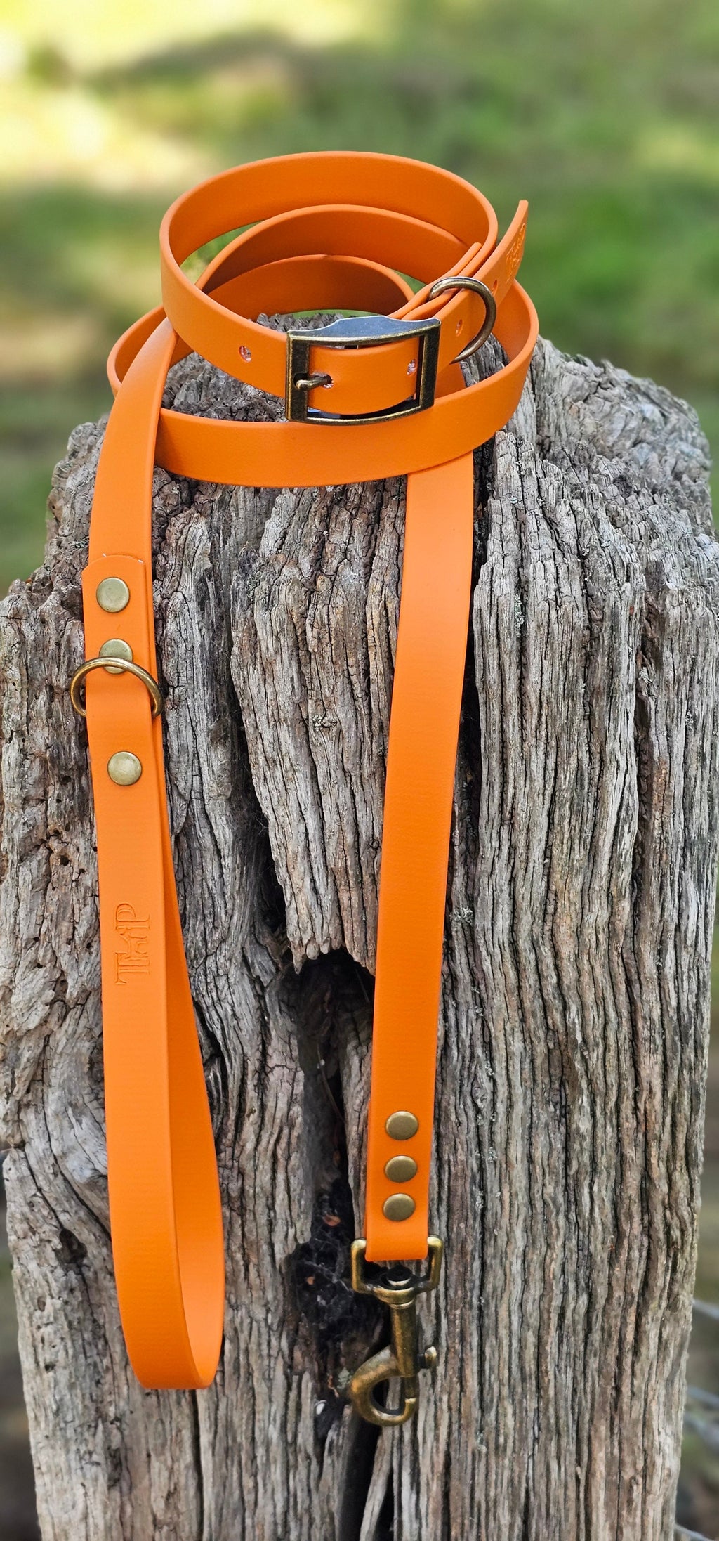 Burnt Orange - Waterproof BioThane© Dog Collar