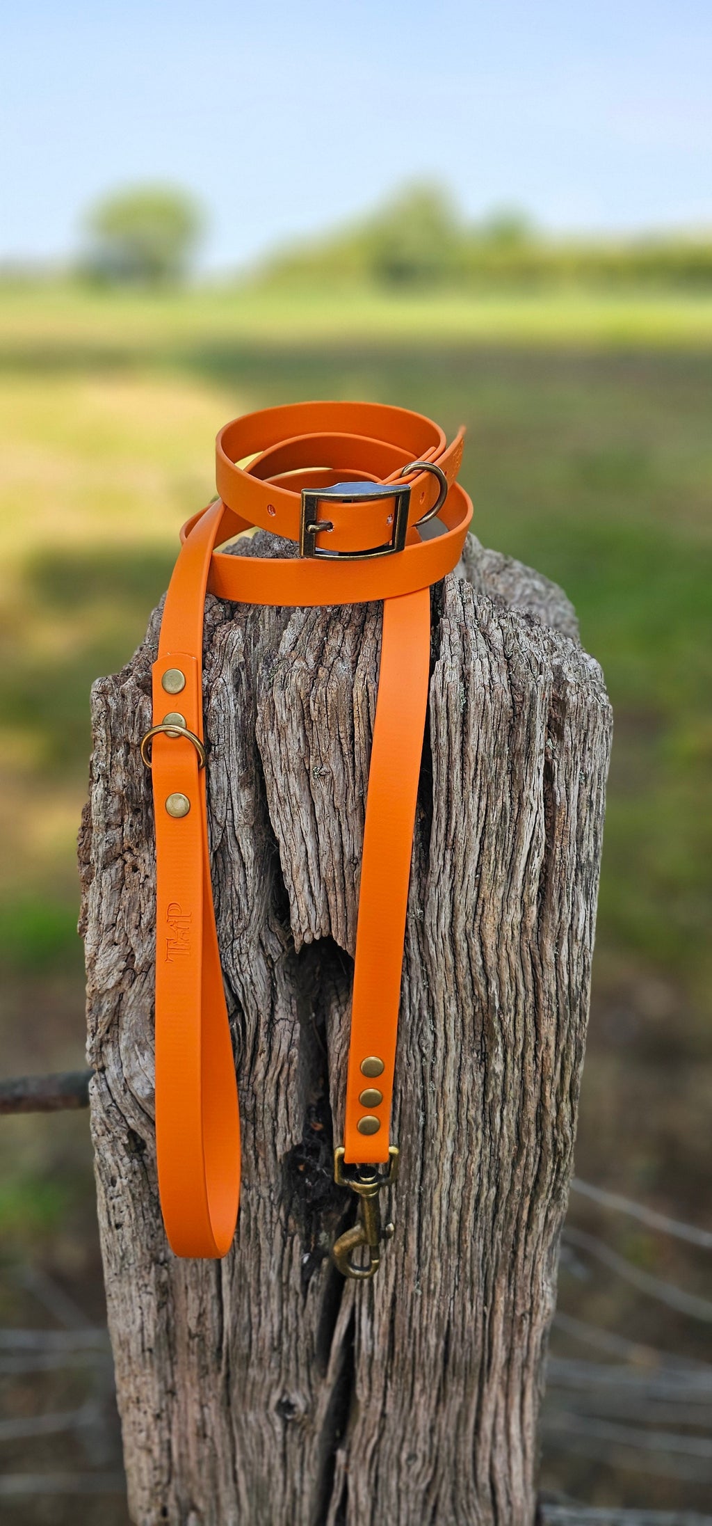 Burnt Orange - Waterproof BioThane© Dog Collar