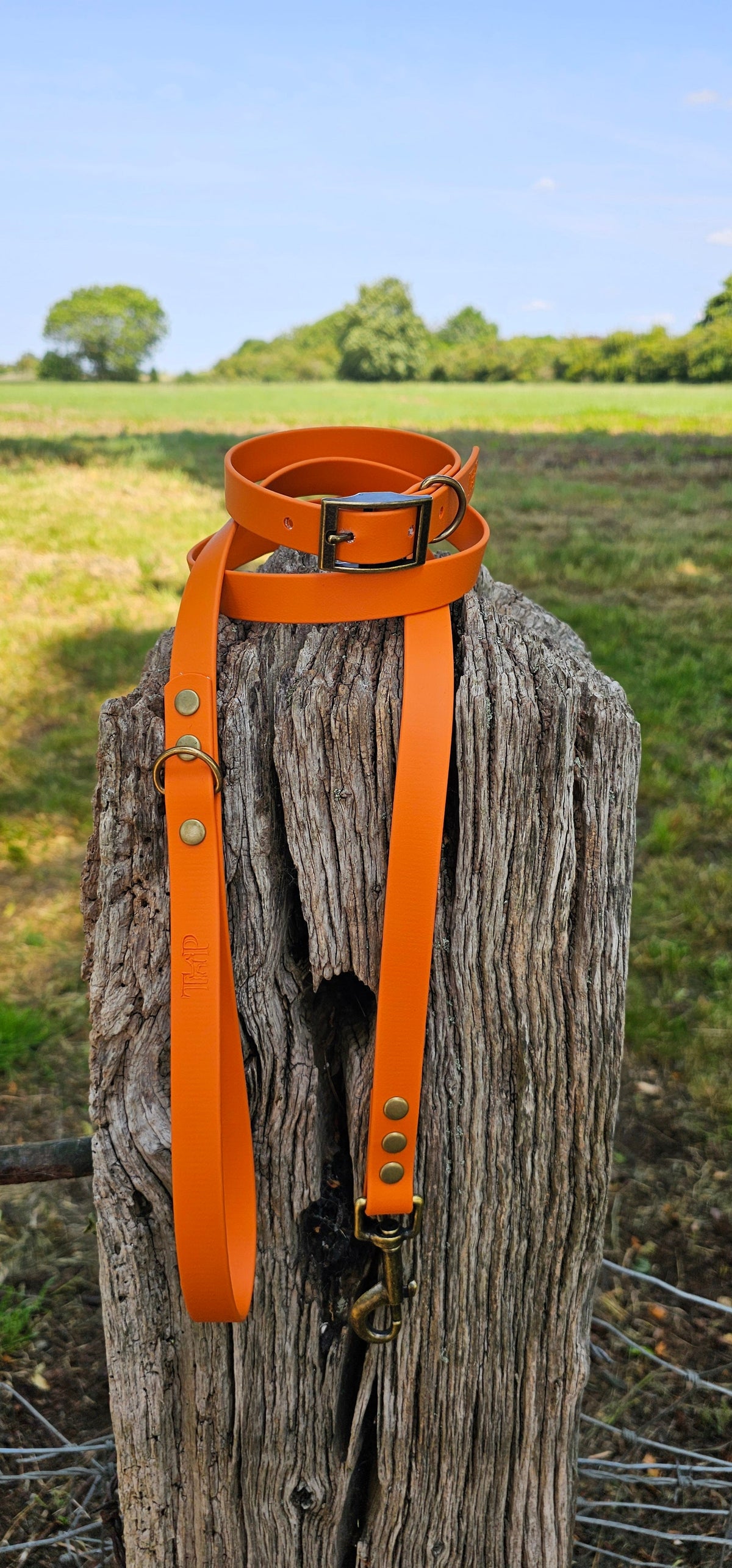 Burnt Orange - Waterproof BioThane© Dog Collar