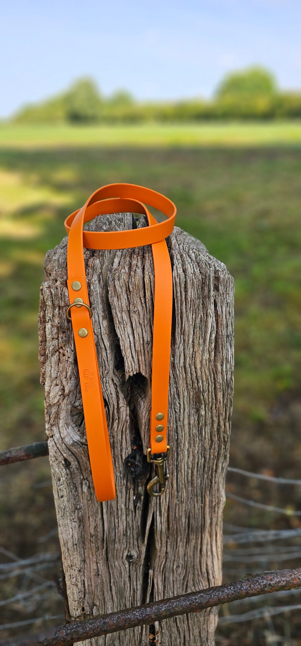 Burnt Orange - Waterproof BioThane© Dog Lead
