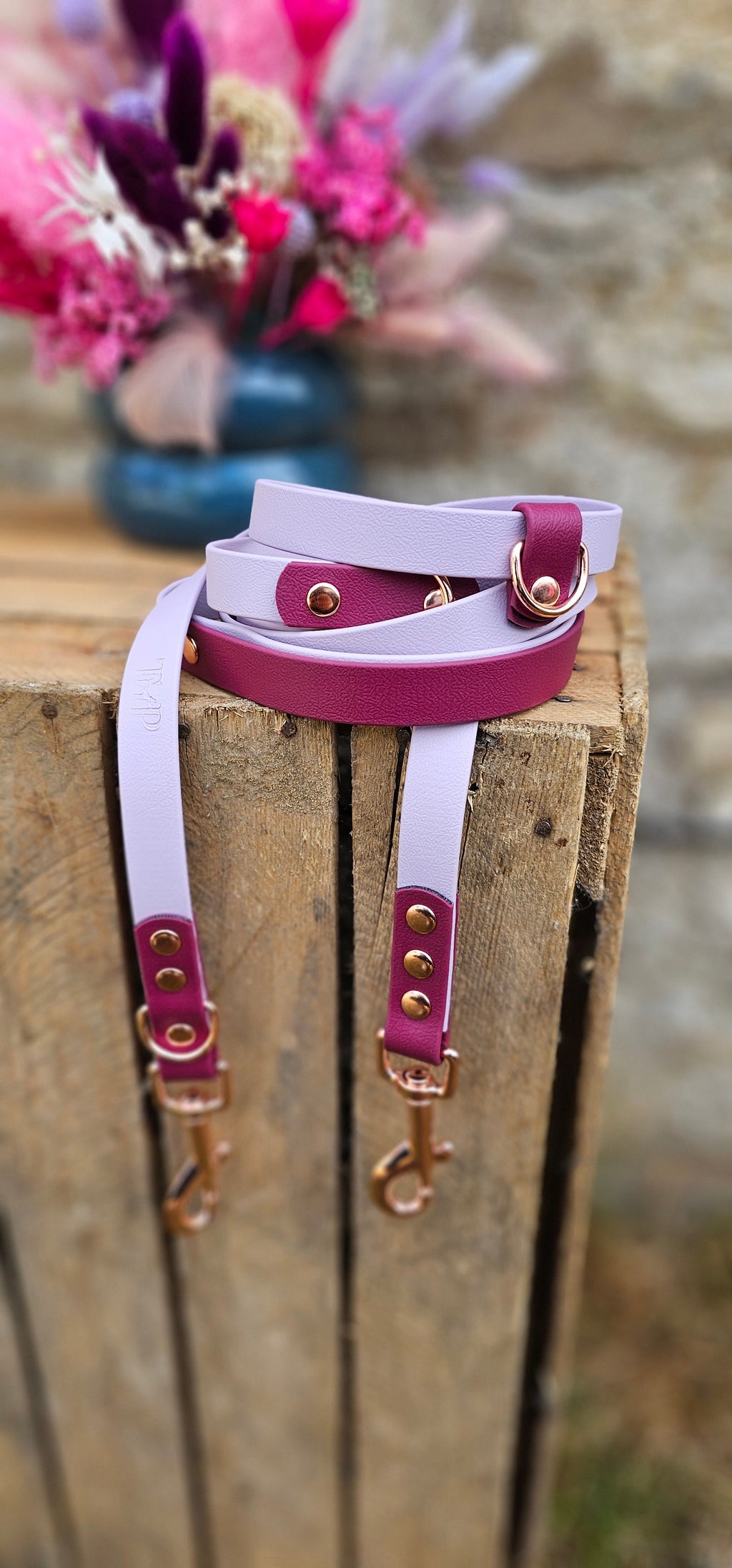 Lilac & Burgundy - Waterproof BioThane© handsfree Dog Training Lead