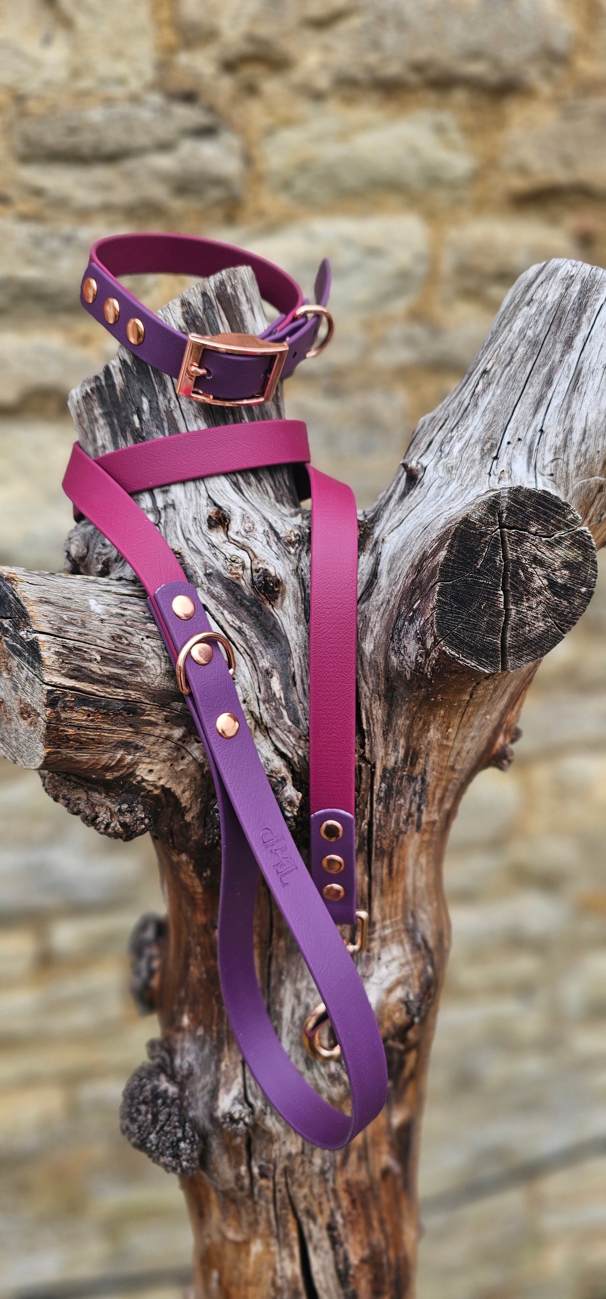 Burgundy & Aubergine - Waterproof BioThane© Dog Lead