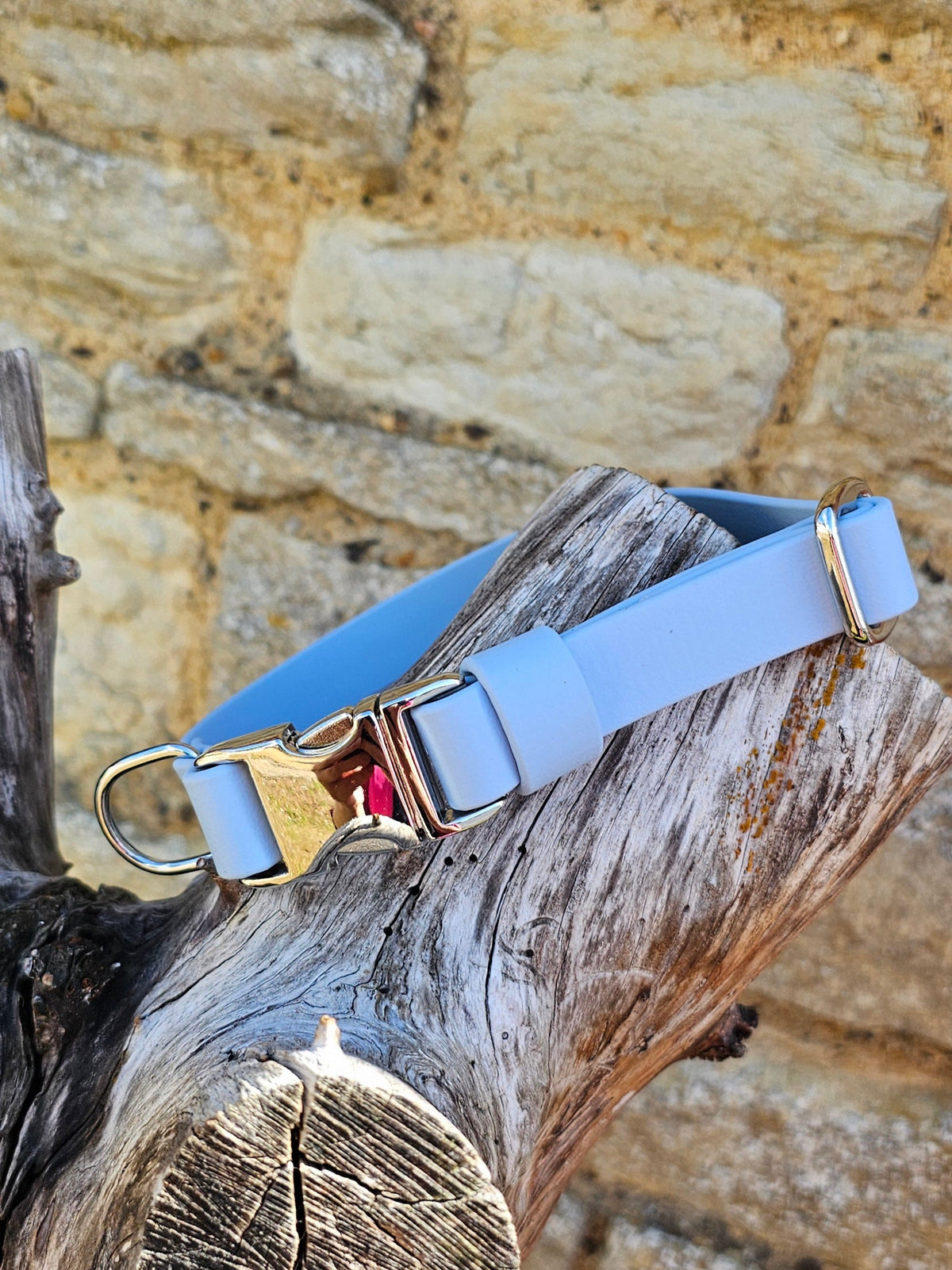 Pastel Blue - Everlast Waterproof BioThane© Quick-Release Buckle Dog Collar