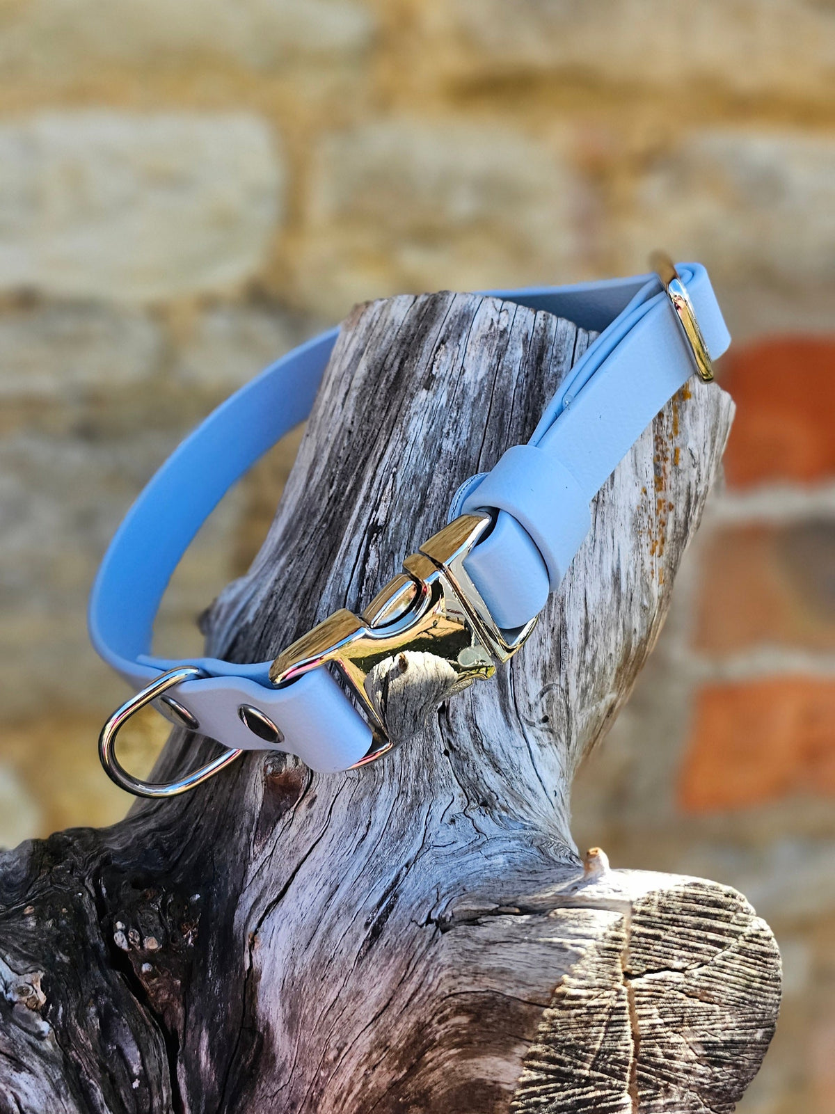 Pastel Blue - Everlast Waterproof BioThane© Quick-Release Buckle Dog Collar