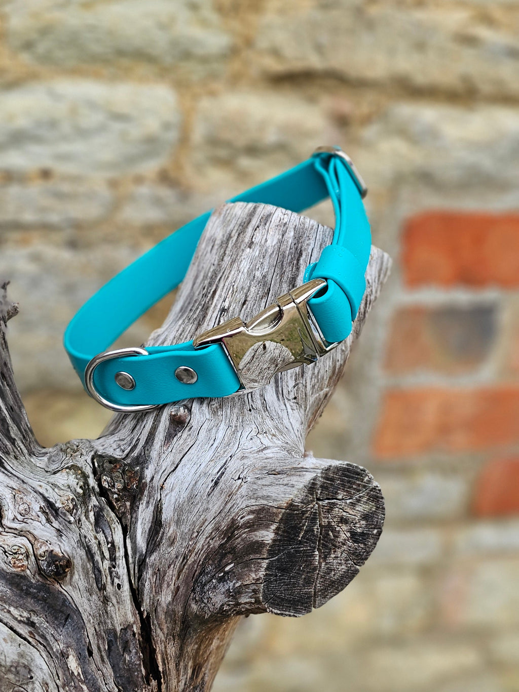 Teal - Everlast Waterproof BioThane© Quick-Release Buckle Dog Collar