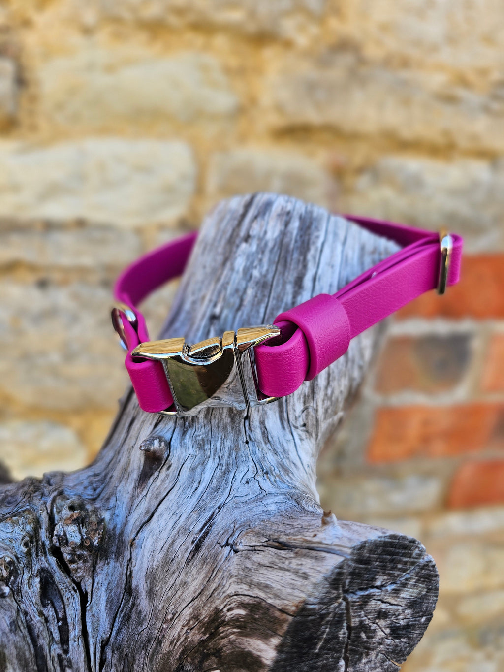 Magenta - Everlast Waterproof BioThane© Quick-Release Buckle Dog Collar