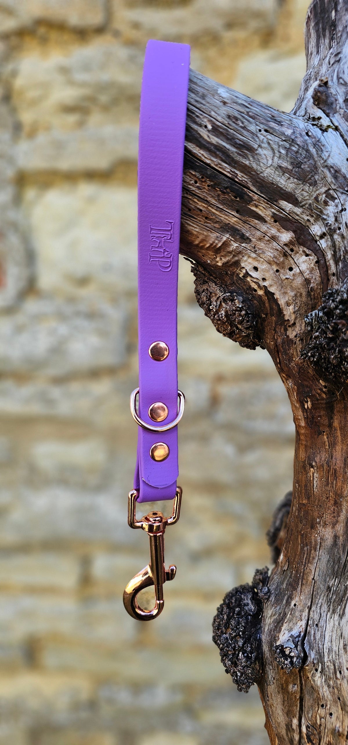 Amethyst - Waterproof BioThane® Short Dog Control Lead / Dog Traffic Handle