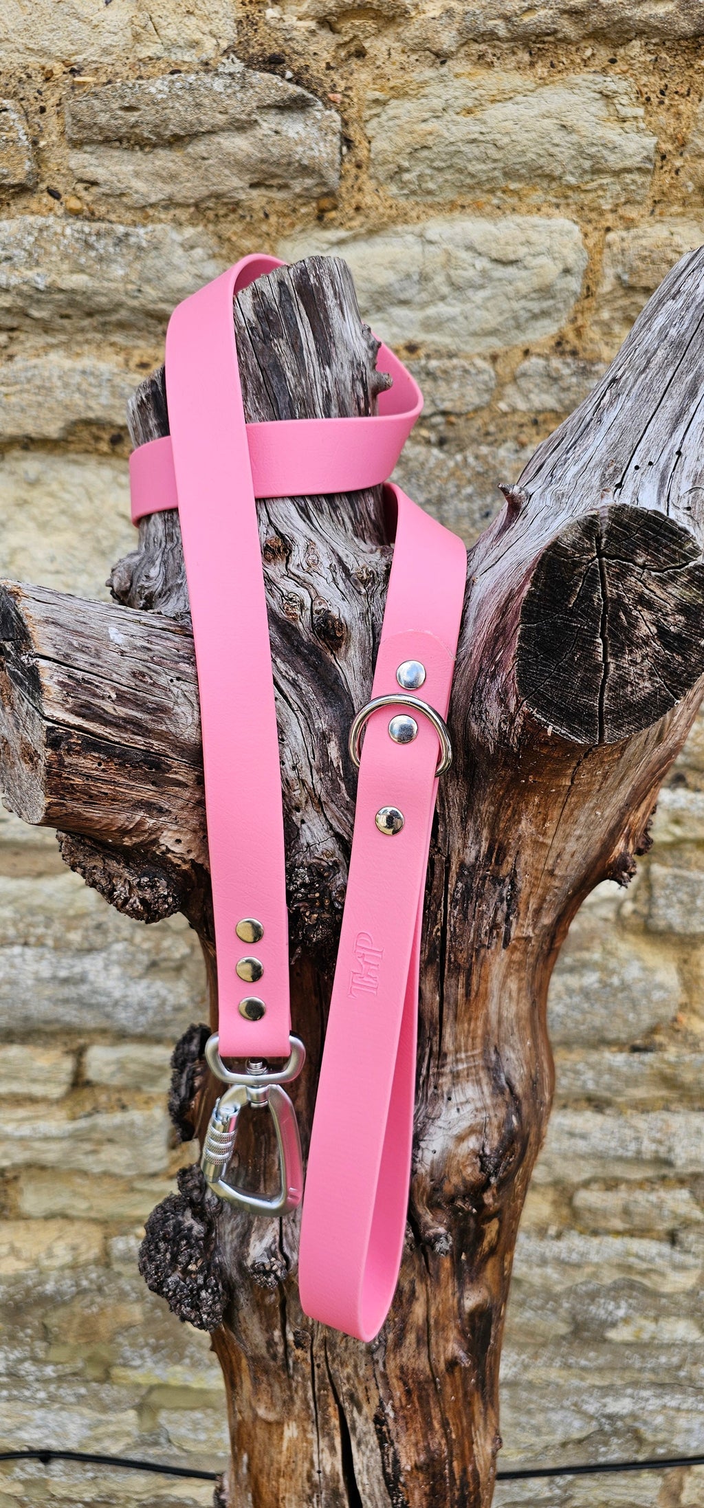 Baby Pink - Everlast Waterproof BioThane© Dog Lead