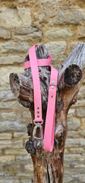 Baby Pink - Everlast Waterproof BioThane© Dog Lead
