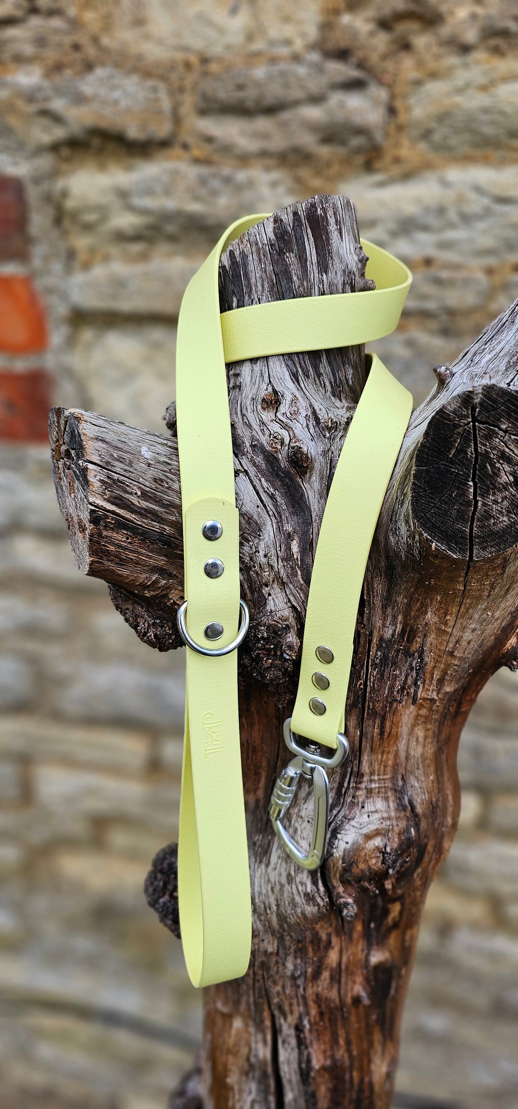 Lemon - Everlast Waterproof BioThane© Quick-Release Buckle Dog Collar