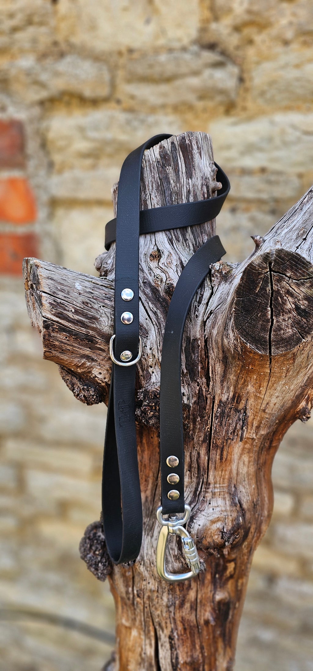 Black - Everlast Waterproof BioThane© Dog Lead