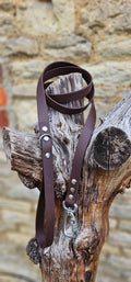 Dark Brown - Everlast Waterproof BioThane© Dog Lead