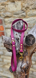Burgundy - Everlast Waterproof BioThane© Dog Lead