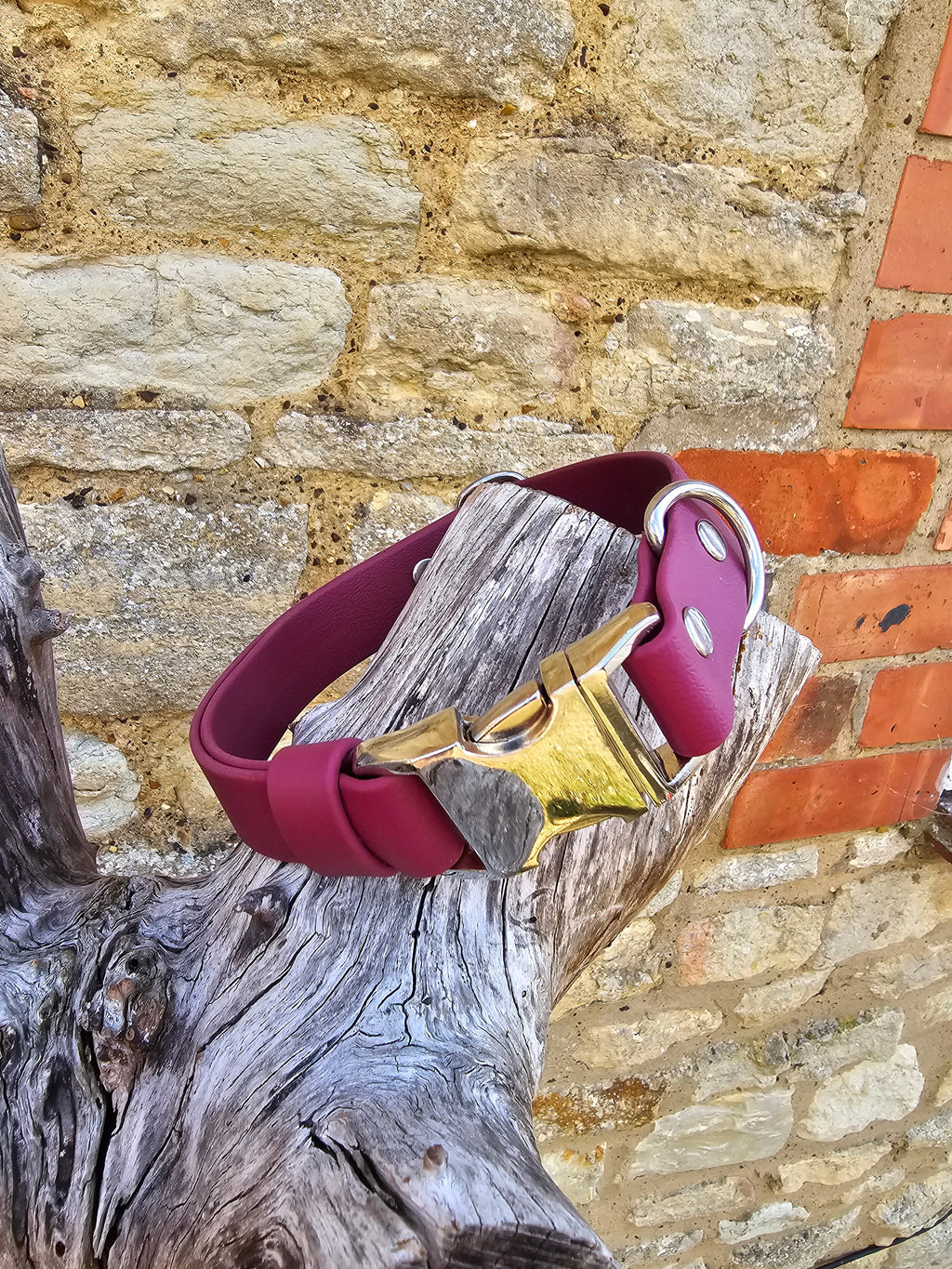 Burgundy - Everlast Waterproof BioThane© Quick-Release Buckle Dog Collar