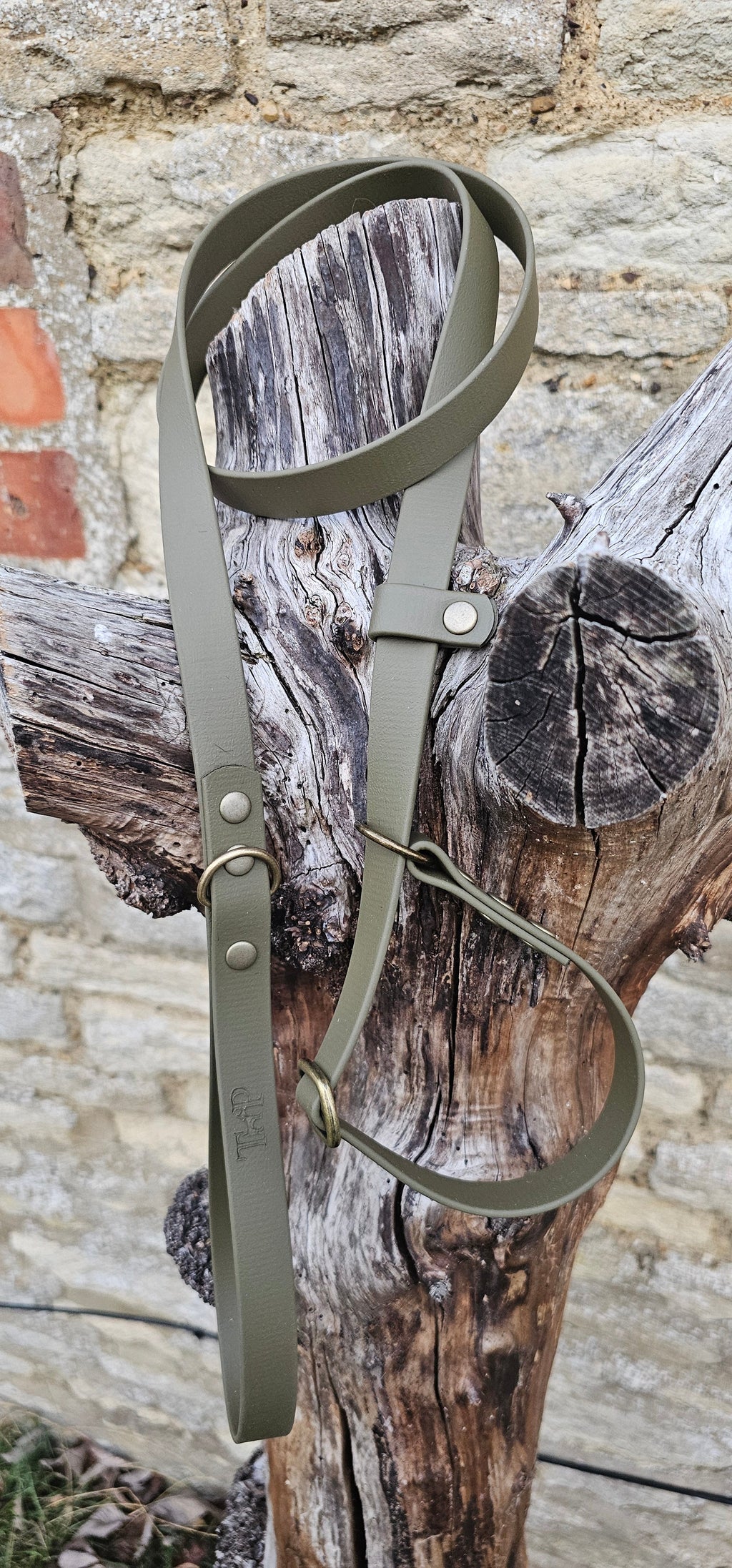 Olive - Waterproof BioThane® Dog Slip Lead