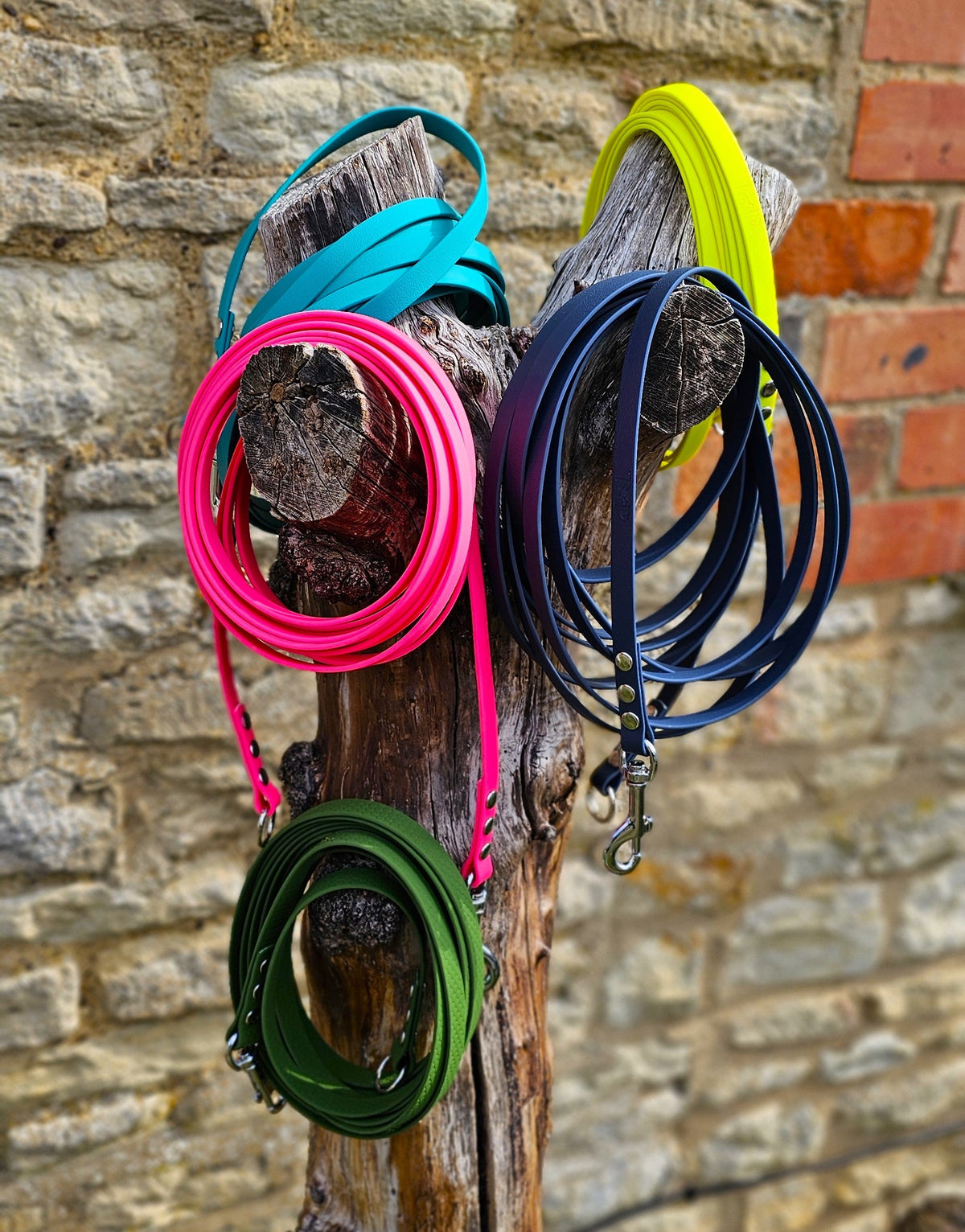 Sky Blue - Classic Waterproof Webbing Dog Long Line Lead