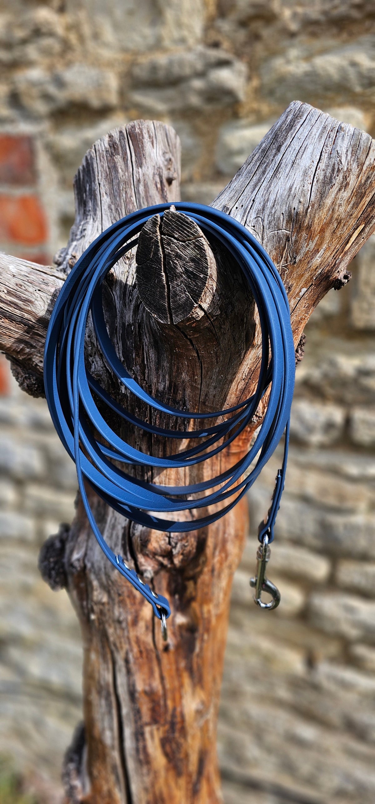 Kerosene - Classic Waterproof Webbing Dog Long Line Lead