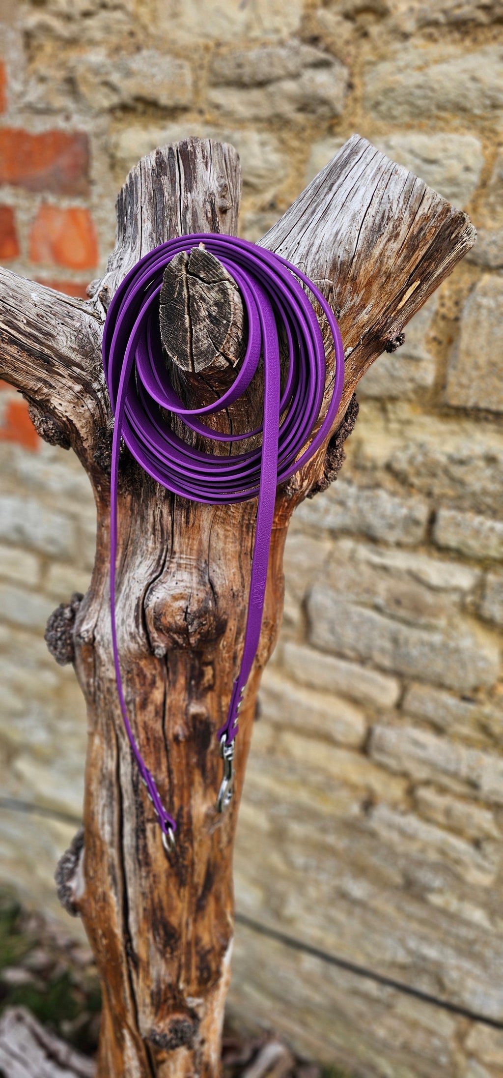 Warm Purple - Classic Waterproof Webbing Dog Long Line Lead