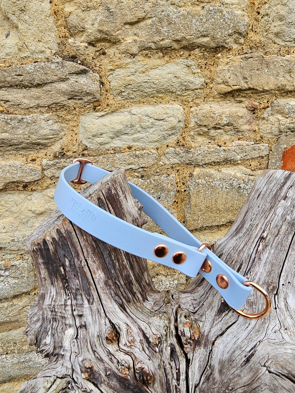 Pastel Blue Waterproof BioThane® safe-stop Slip Collar