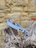Pastel Blue Waterproof BioThane® safe-stop Slip Collar