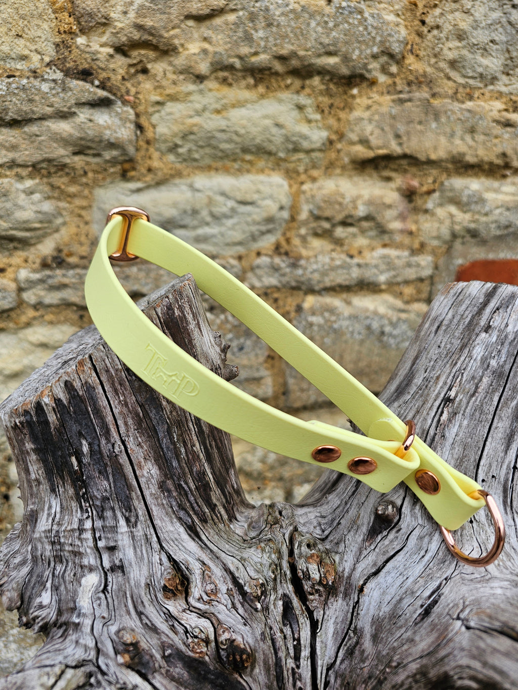 Lemon Waterproof BioThane® safe-stop Slip Collar