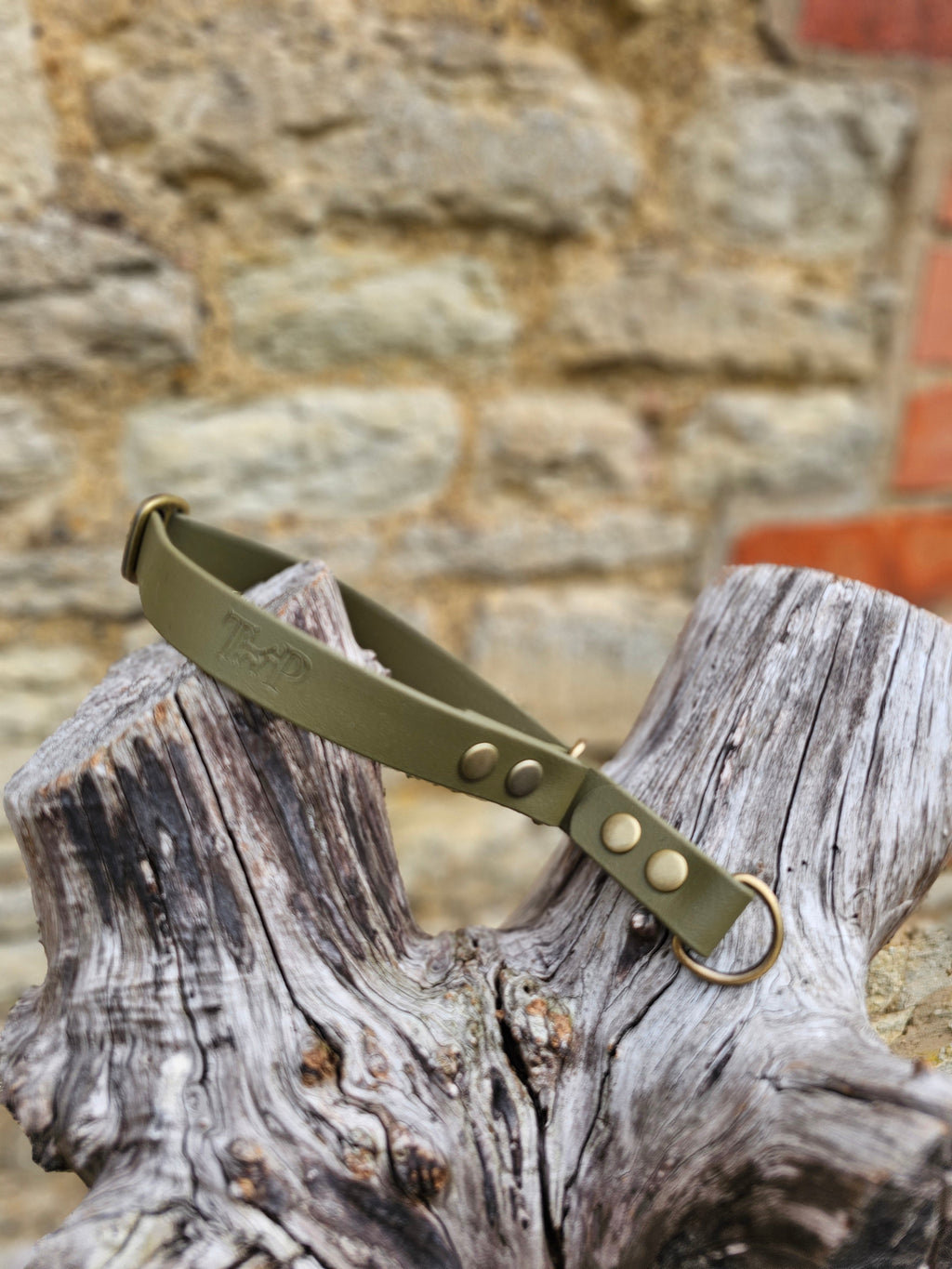 Olive Waterproof BioThane® safe-stop Slip Collar