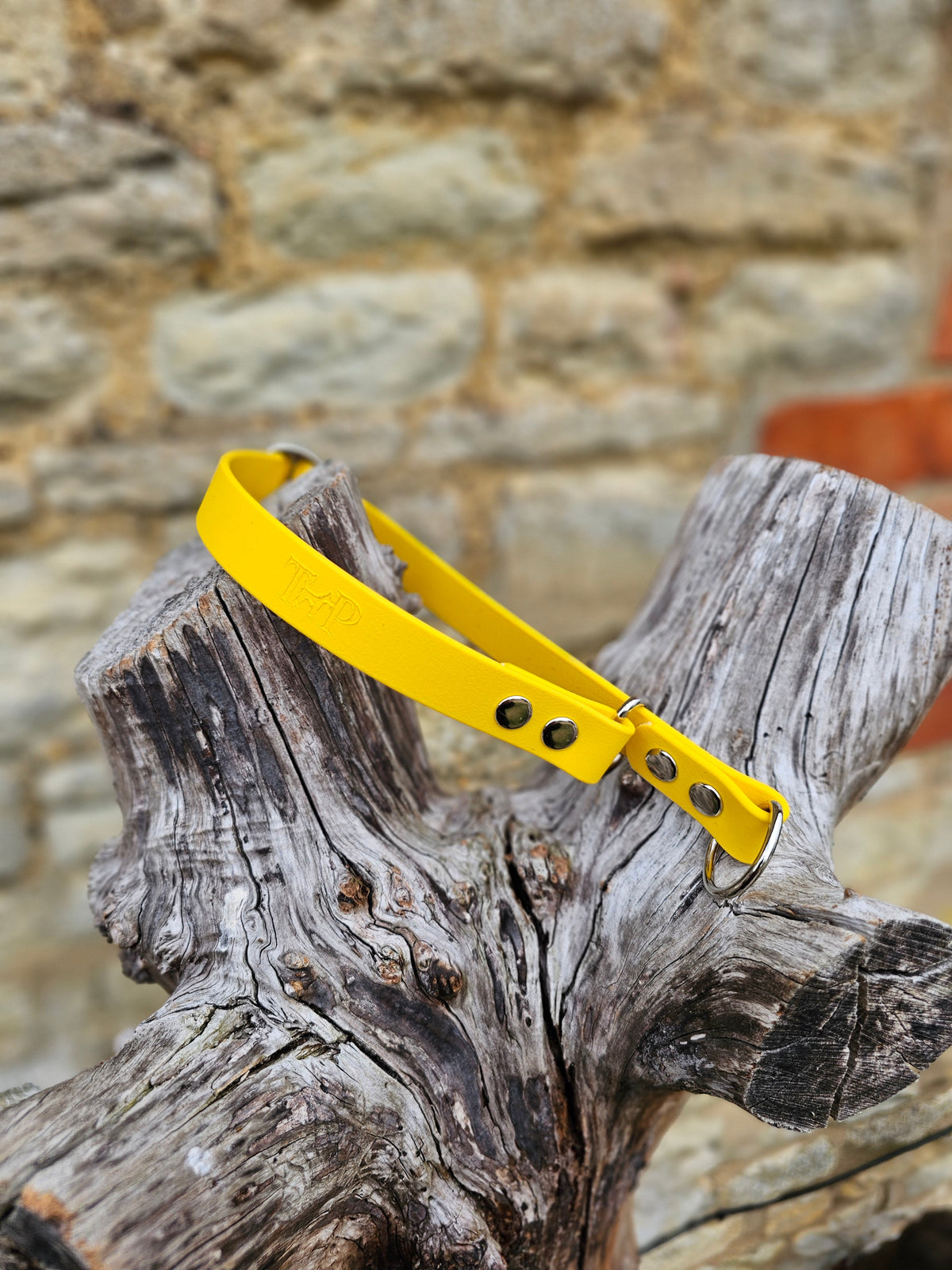 Yellow Waterproof BioThane® safe-stop Slip Collar
