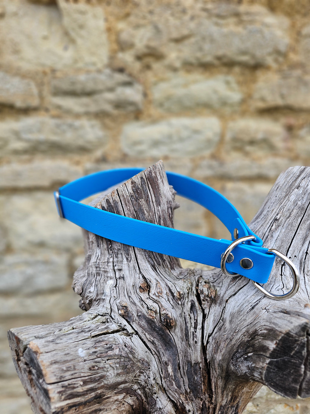Blue Waterproof BioThane® safe-stop Slip Collar