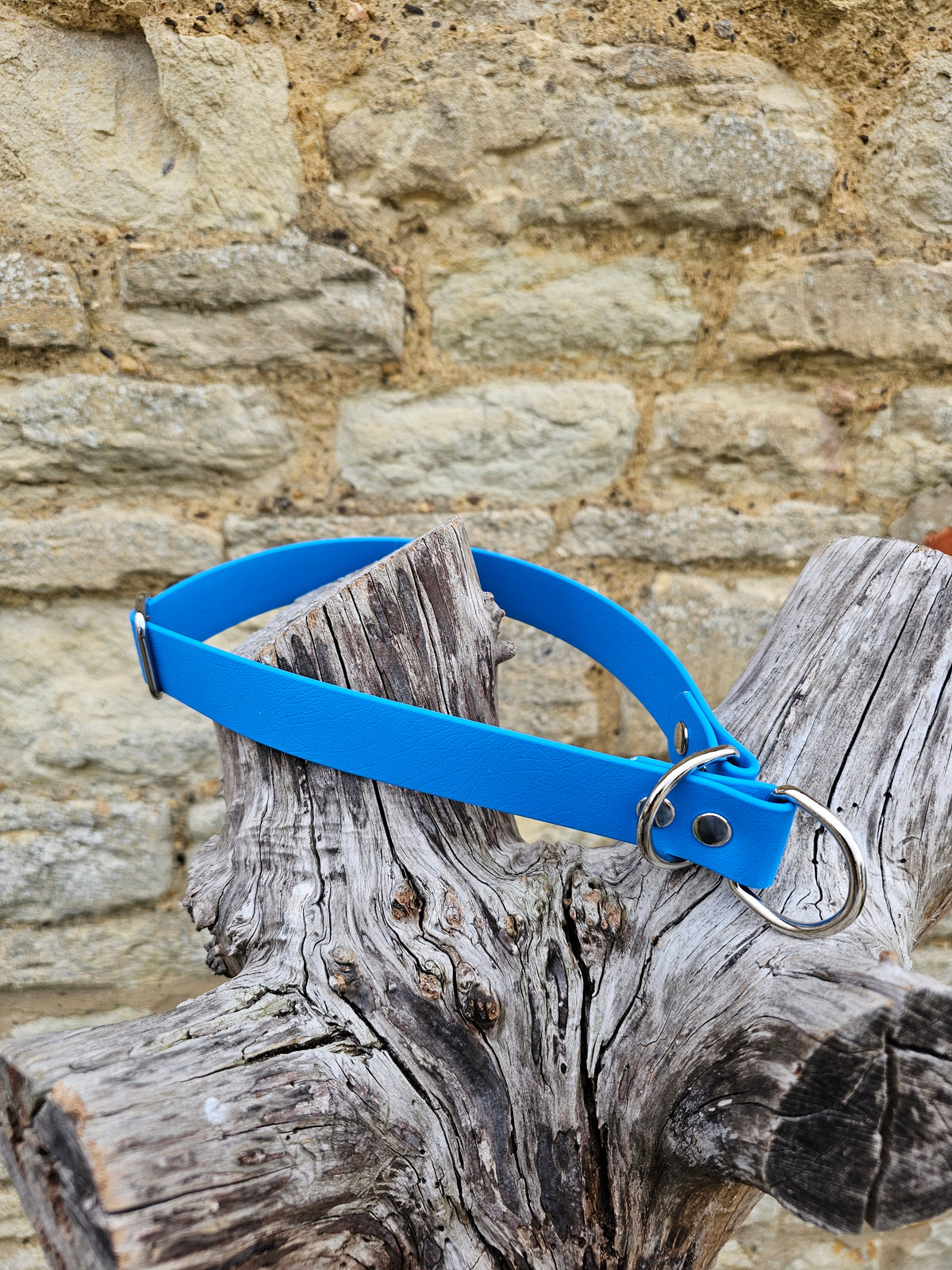 Blue Waterproof BioThane® safe-stop Slip Collar