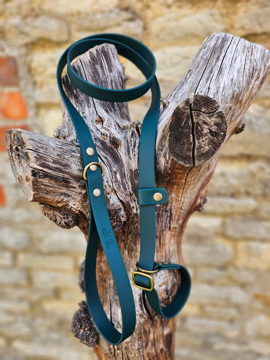 Dark Green - Waterproof BioThane® Dog Slip Lead