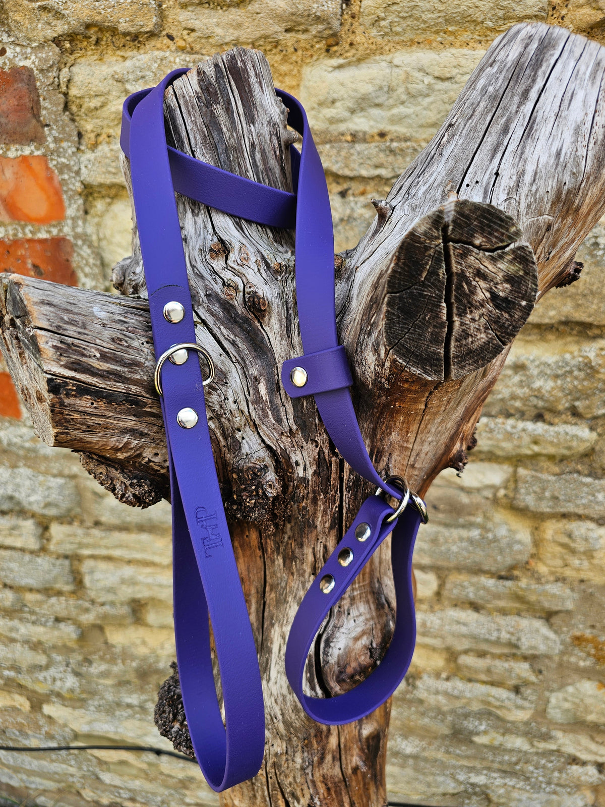 Purple - Waterproof BioThane® Dog Slip Lead