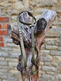 Olive - Waterproof BioThane© Figure8 Dog Lead