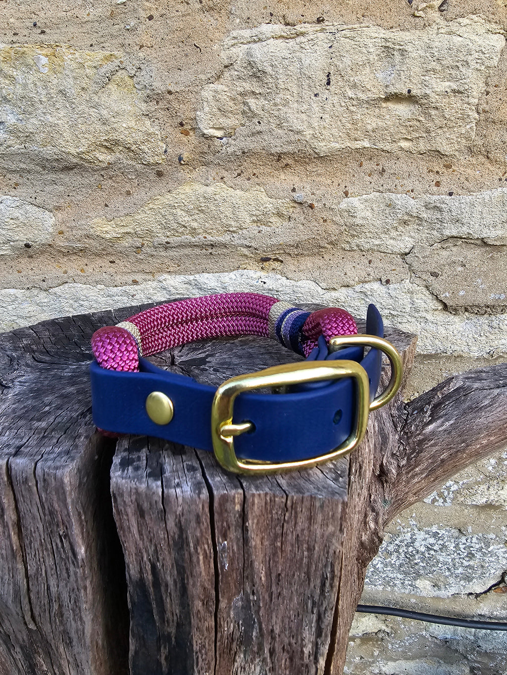Oxford - Premium Rope Dog Collar