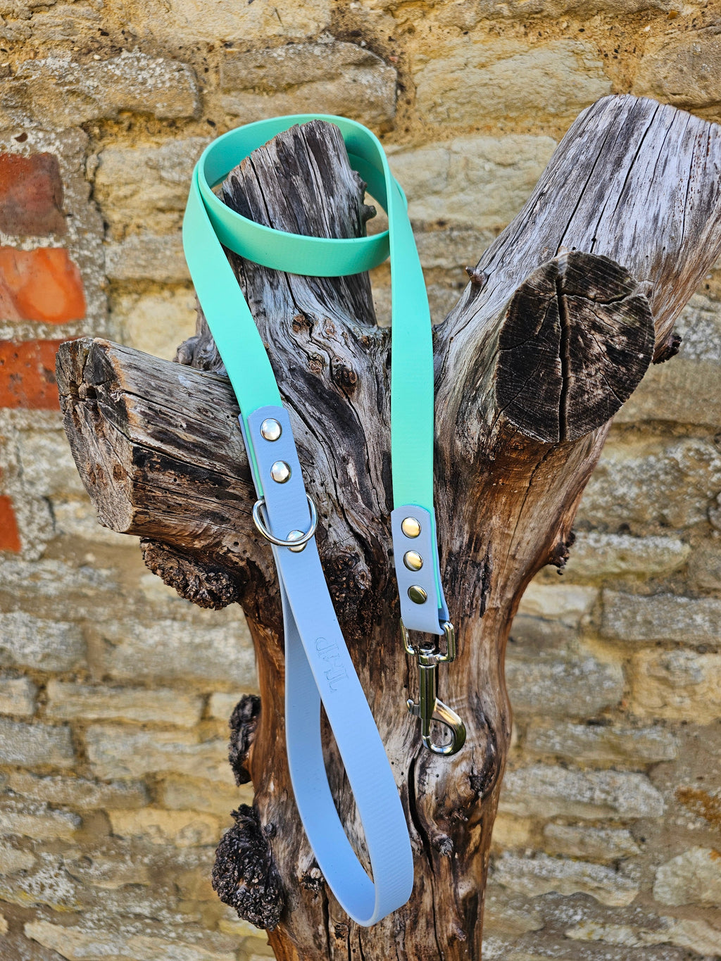 Mint & Pastel Blue - Waterproof BioThane© Dog Lead