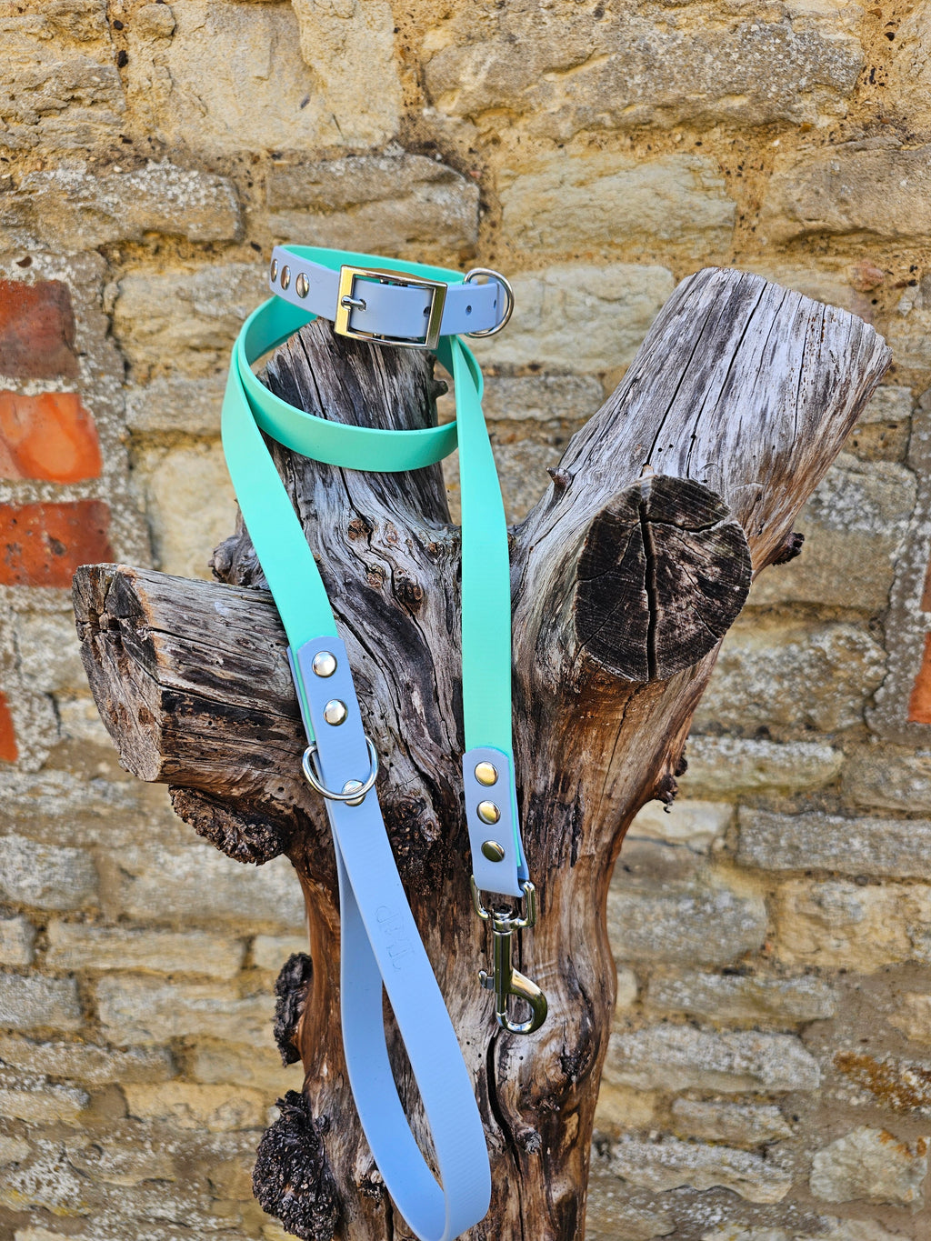 Mint & Pastel Blue - Waterproof BioThane© Dog Lead