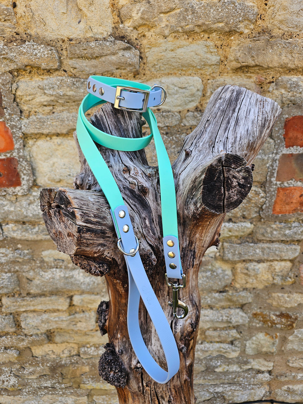 Mint & Pastel Blue - Waterproof BioThane© two-coloured Dog Collar