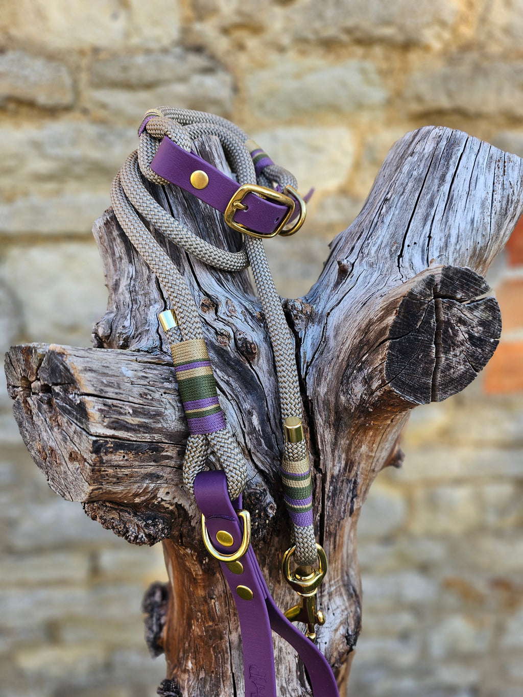 Henley - Premium Rope Dog Collar