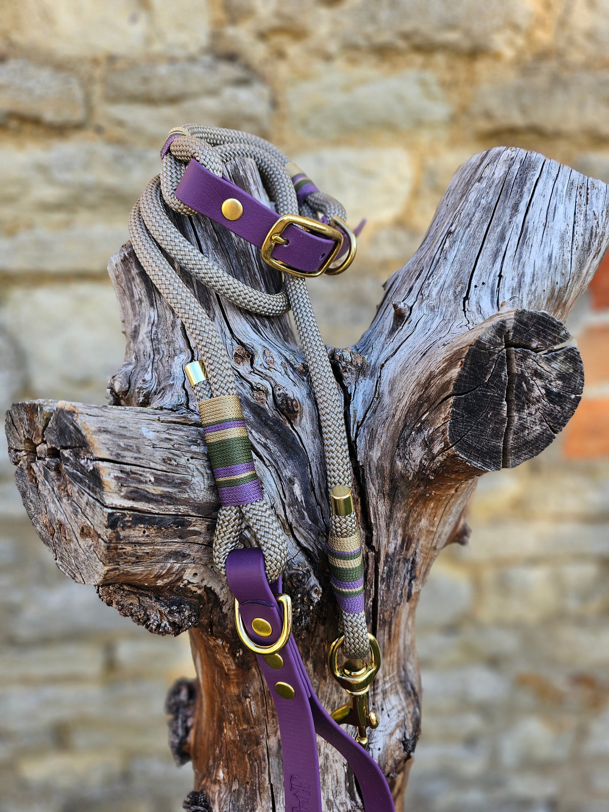 Henley - Premium Rope Dog Collar