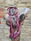 Burgundy - Waterproof BioThane© Figure8 Dog Lead