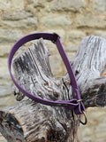 Aubergine Waterproof BioThane® safe-stop Slip Collar