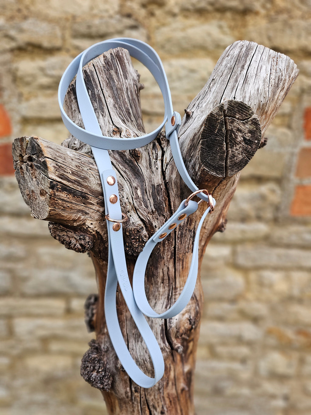Pastel Blue - Waterproof BioThane® Dog Slip Lead