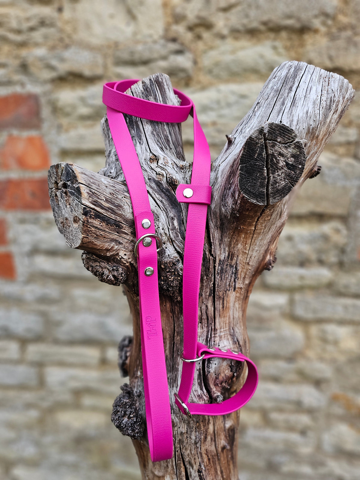 Burgundy - Waterproof BioThane® Dog Slip Lead
