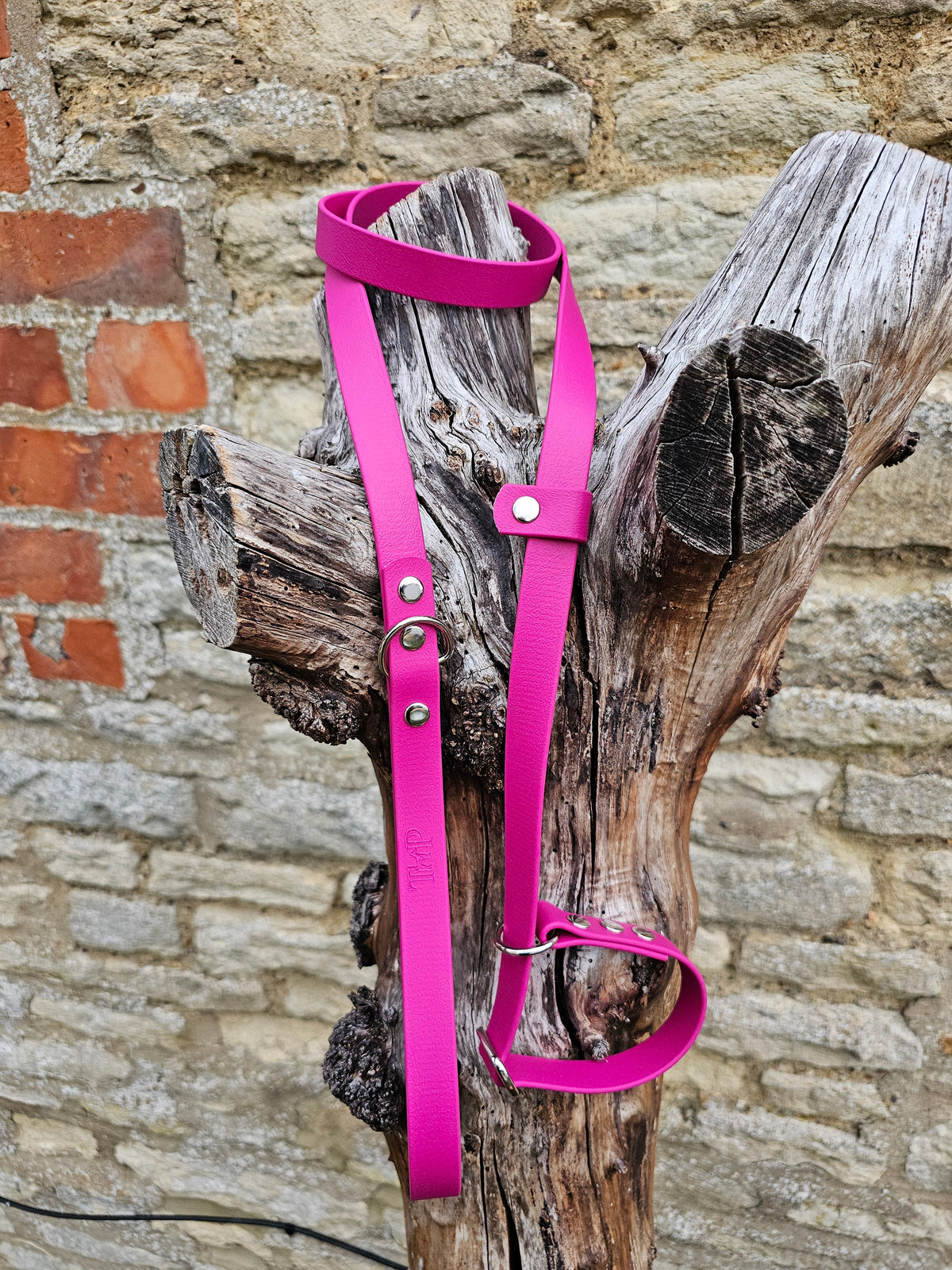 Burgundy - Waterproof BioThane® Dog Slip Lead