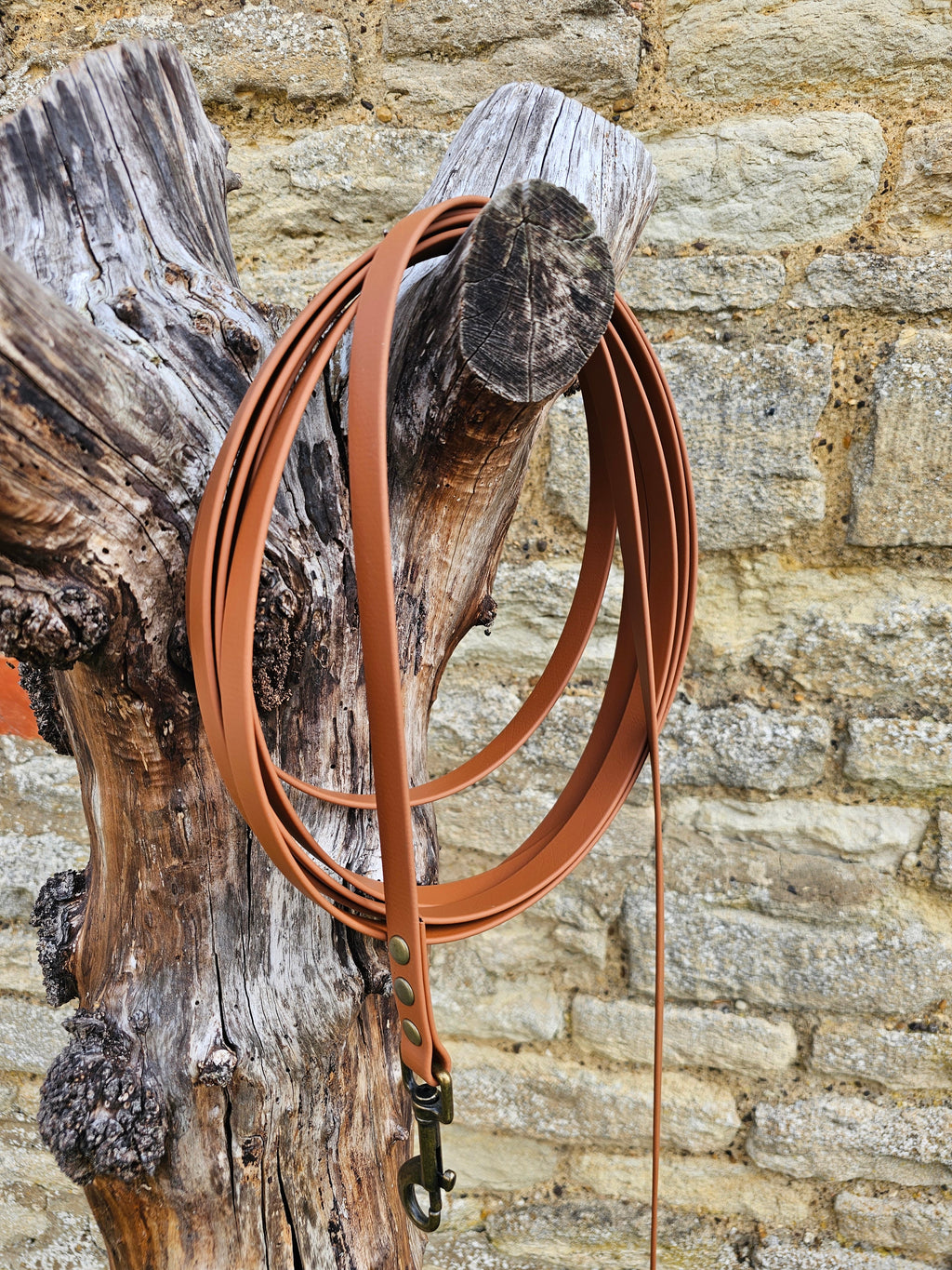 Tan - Waterproof BioThane© Dog Long Line Lead