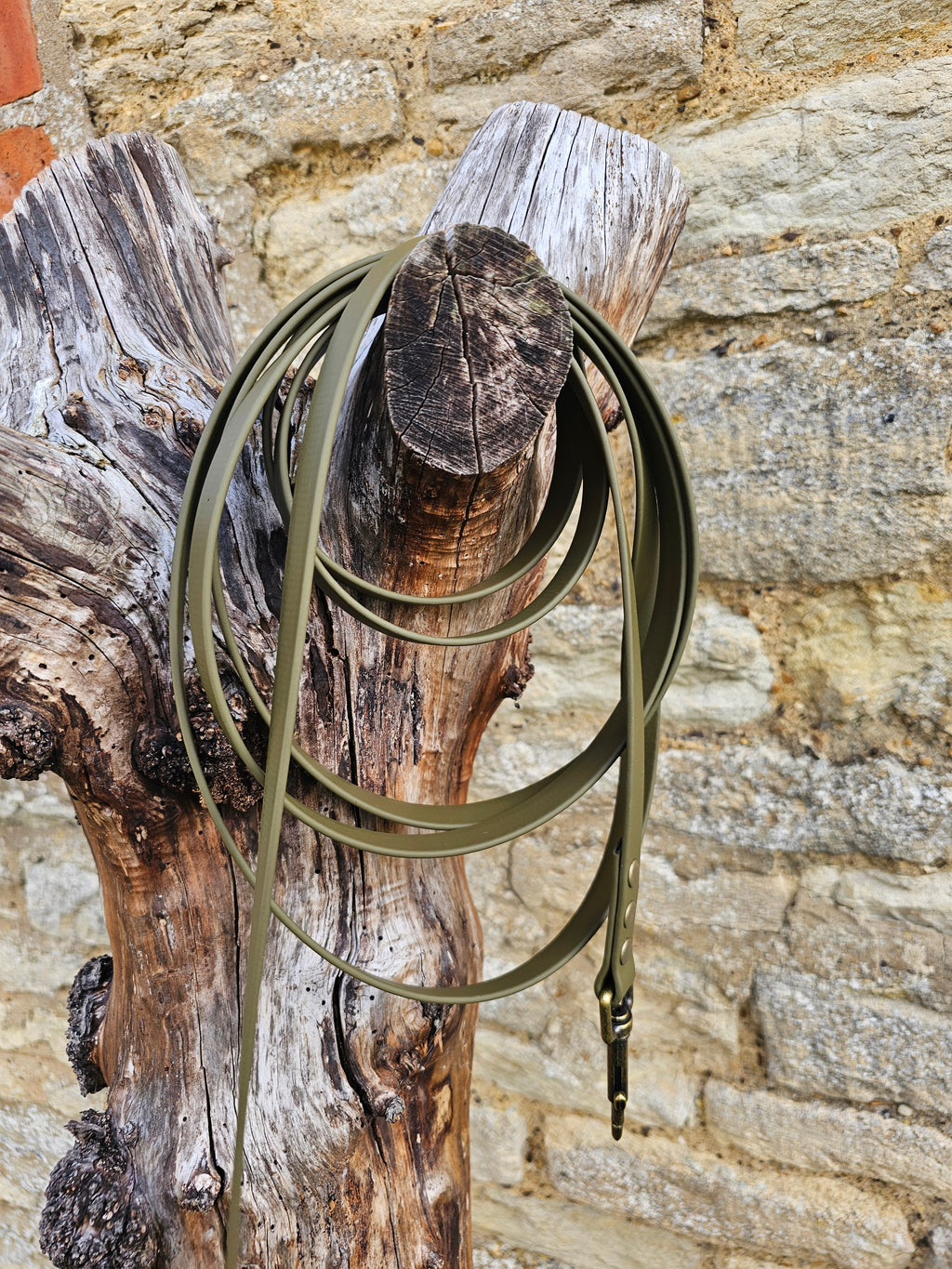 Olive - Waterproof BioThane© Dog Long Line Lead
