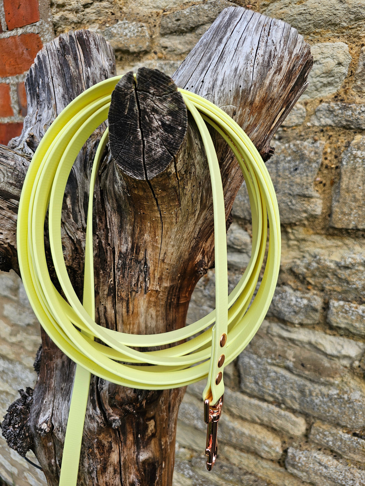 Lemon - Waterproof BioThane© Dog Long Line Lead